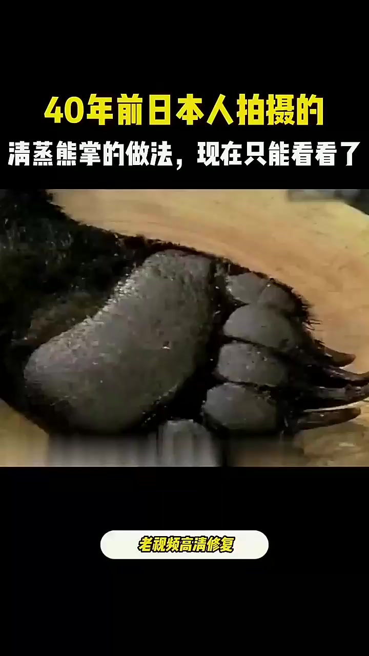 40年前日本人拍摄的清蒸熊掌，现在是保护动物，再也吃不到了