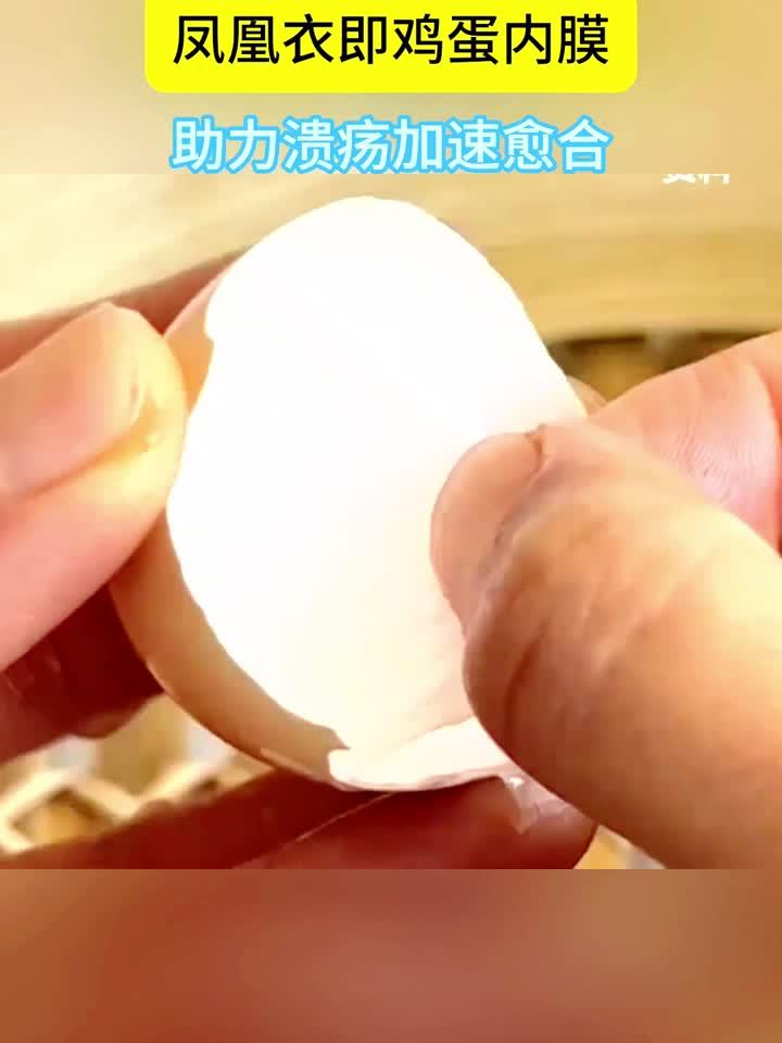 鸡蛋内膜治口腔溃疡，凤凰衣的神奇功效！
