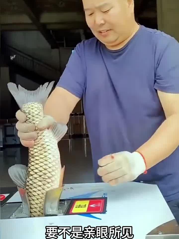 鱼摊老板和烤鱼店要是有这机器该多方便啊