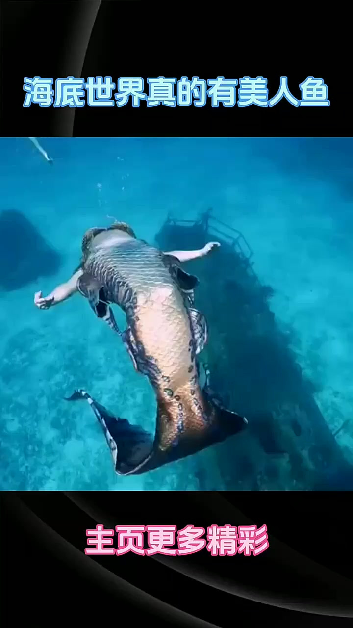 海底世界真的有美人鱼 (1)