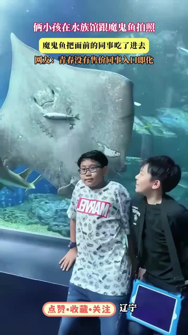 俩小孩在水族馆跟魔鬼鱼拍照，魔鬼鱼把面前的同事吃了进去，网友：青春没有售价同事入