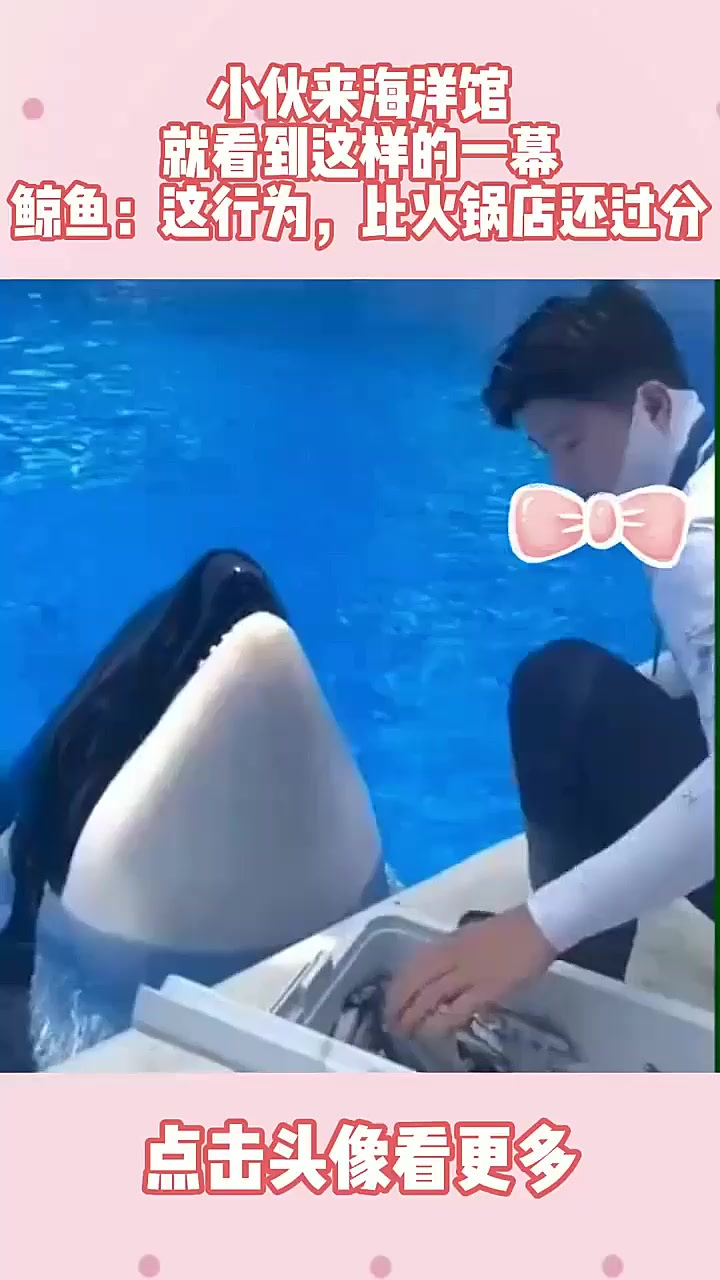 小伙来海洋馆，就看到这样的一幕。鲸鱼：这行为，比火锅店还过分