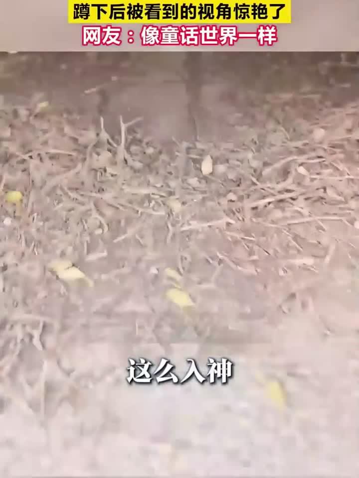 妈妈以为儿子在发呆，蹲下后被看到的视角惊艳了