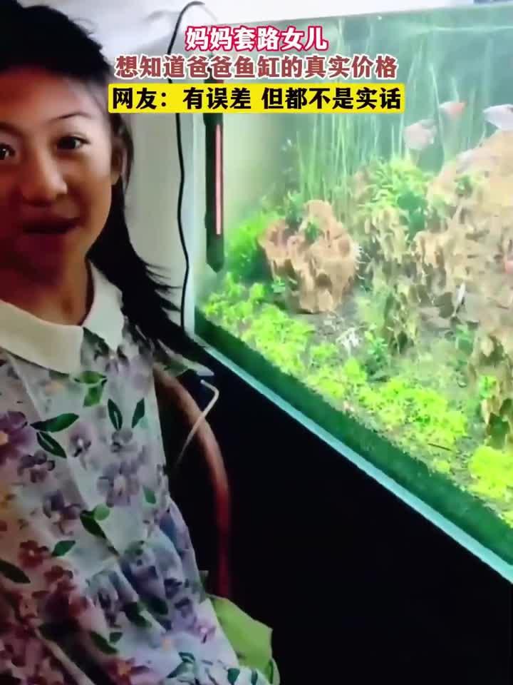 妈妈套路女儿，想知道爸爸鱼缸的真实价格