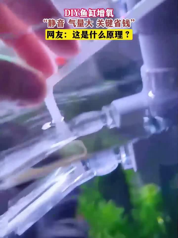 DIY鱼缸增氧，“静音 气量大 关键省钱”，网友：这是什么原理？