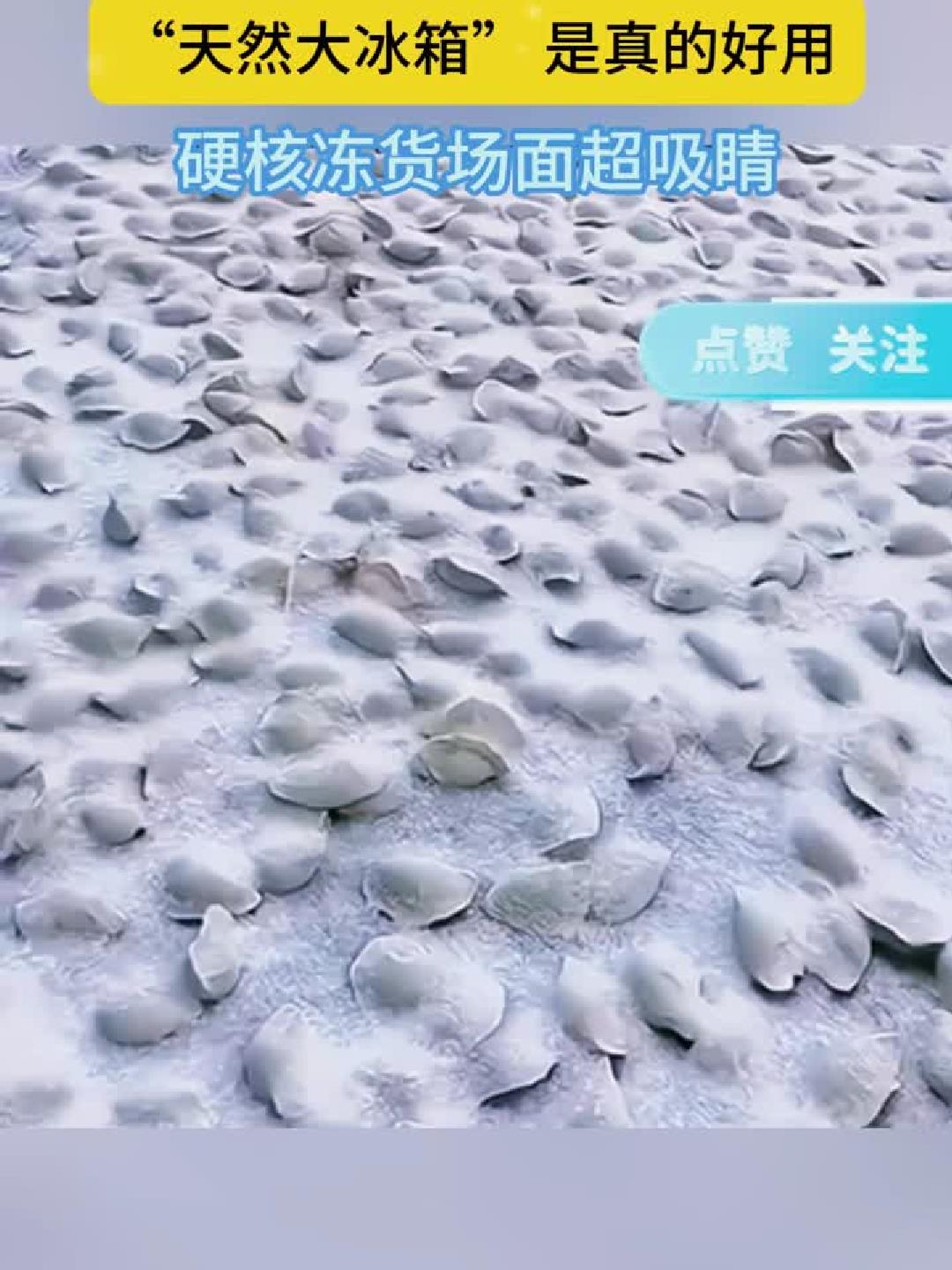 南方人看傻眼！东北露天冻饺子太猛了