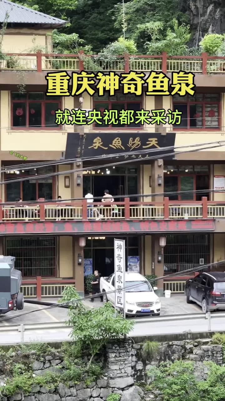 重庆神奇鱼泉,最多一天涌出上千斤鱼,就连央视都来采访