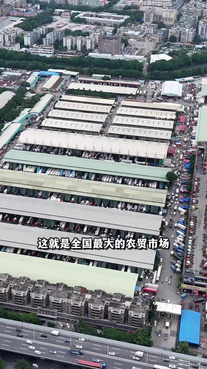这就是全国最大的农贸市场，广州江南果蔬市场，它被誉为国内进口水果的老大。_p961