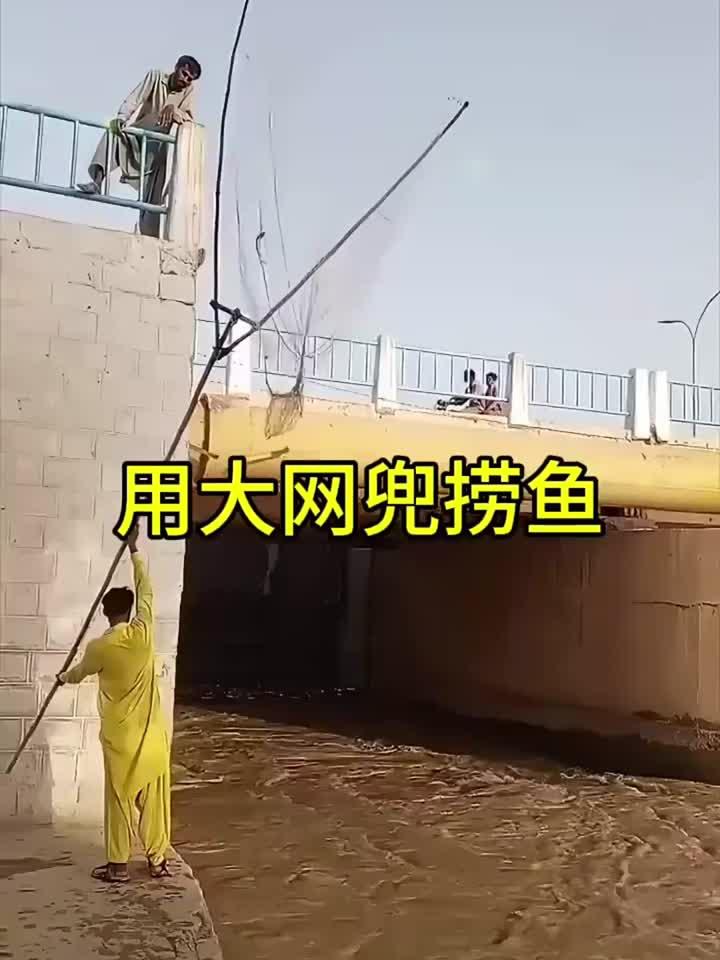 用大网兜捞鱼