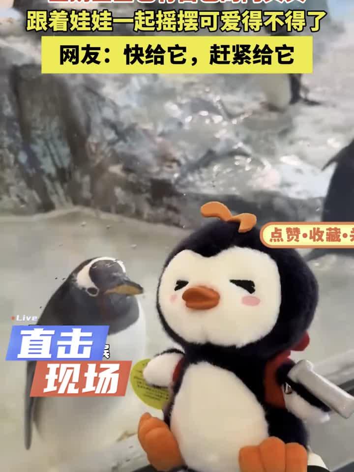 企鹅宝宝也有自己的阿贝贝,跟着娃娃一起摇摆可爱得不得了