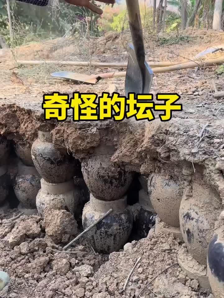 这土里怎么这么多陶瓷坛子