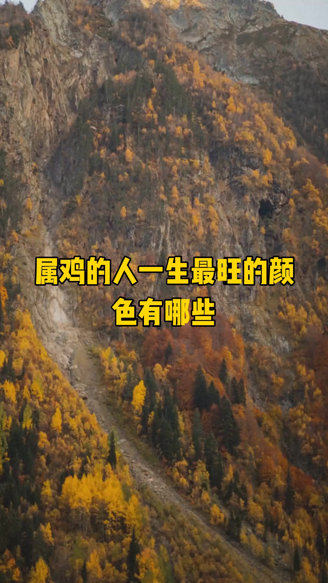 属鸡的人一生最旺的颜色有哪些