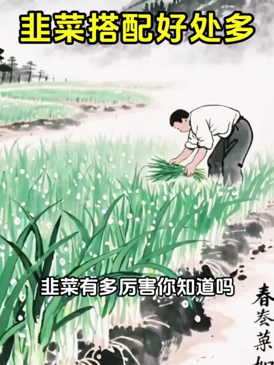 韭菜的神奇功效你了解多少