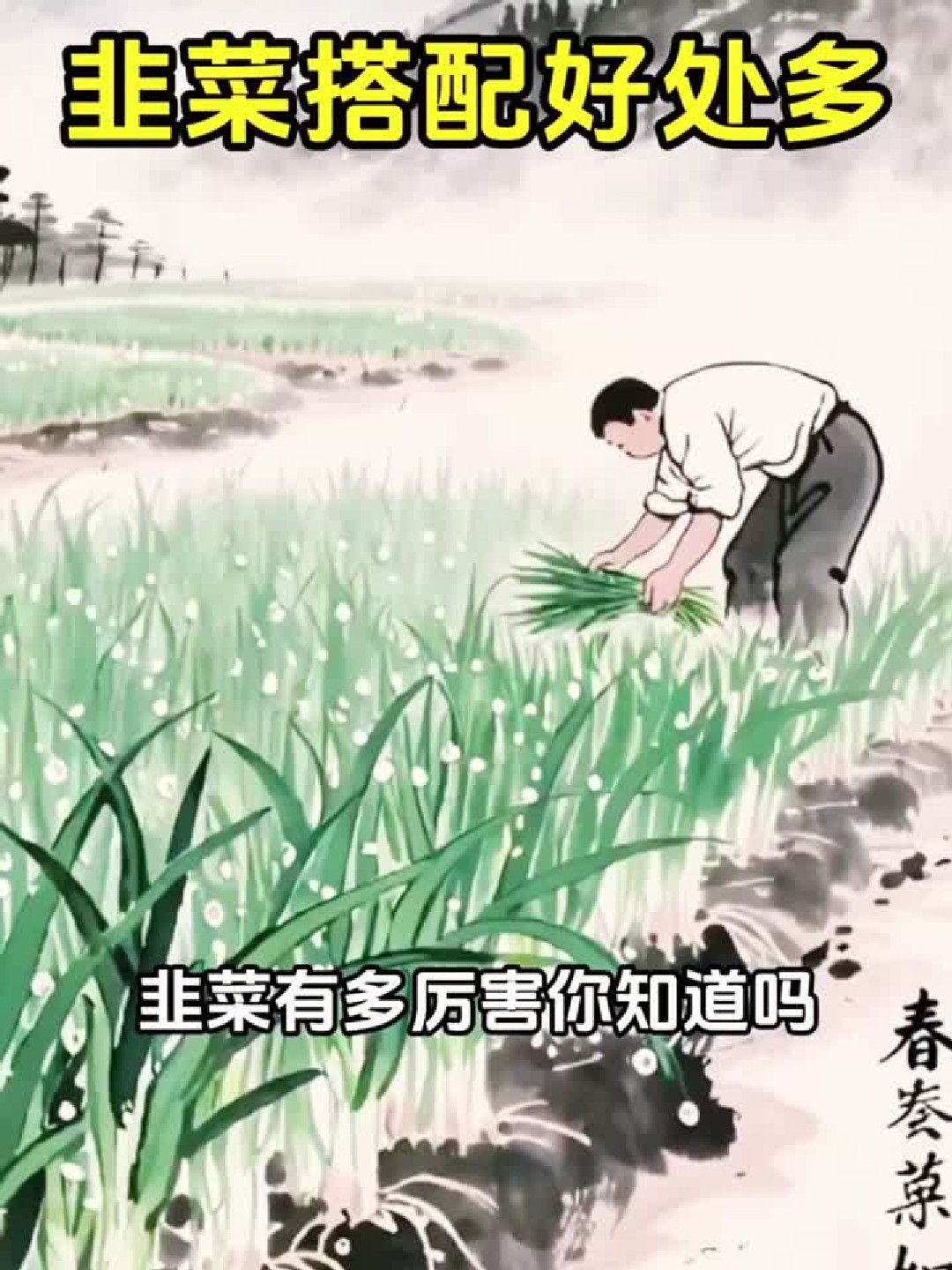 韭菜的这些神奇功效你了解吗