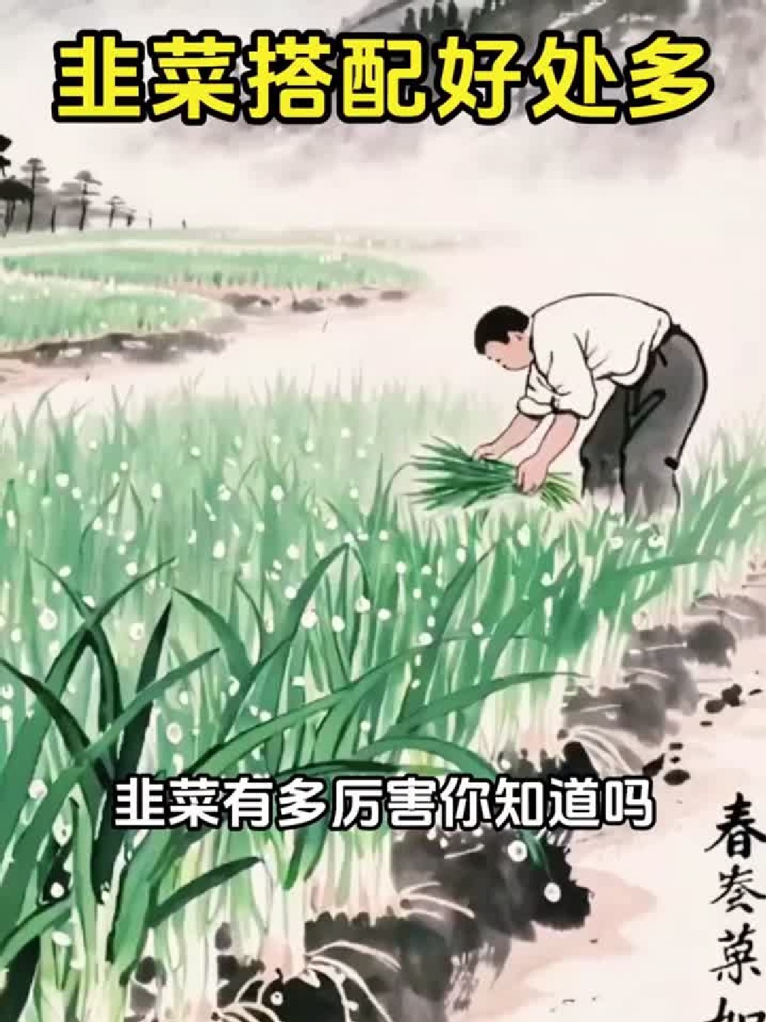 韭菜竟然还有这些神奇功效