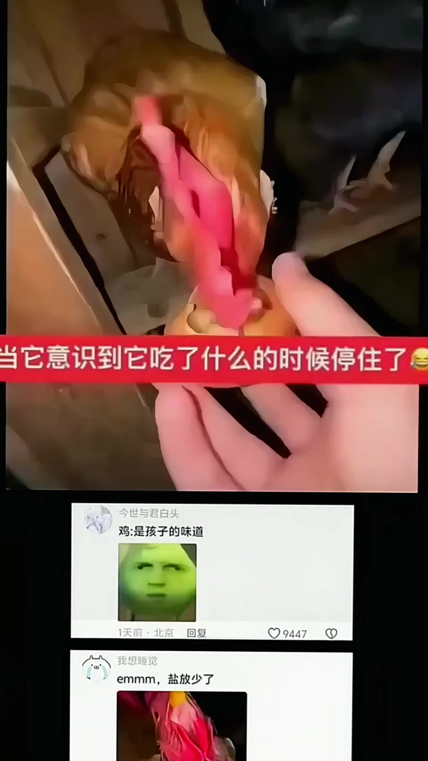 鸡：是孩子的味道