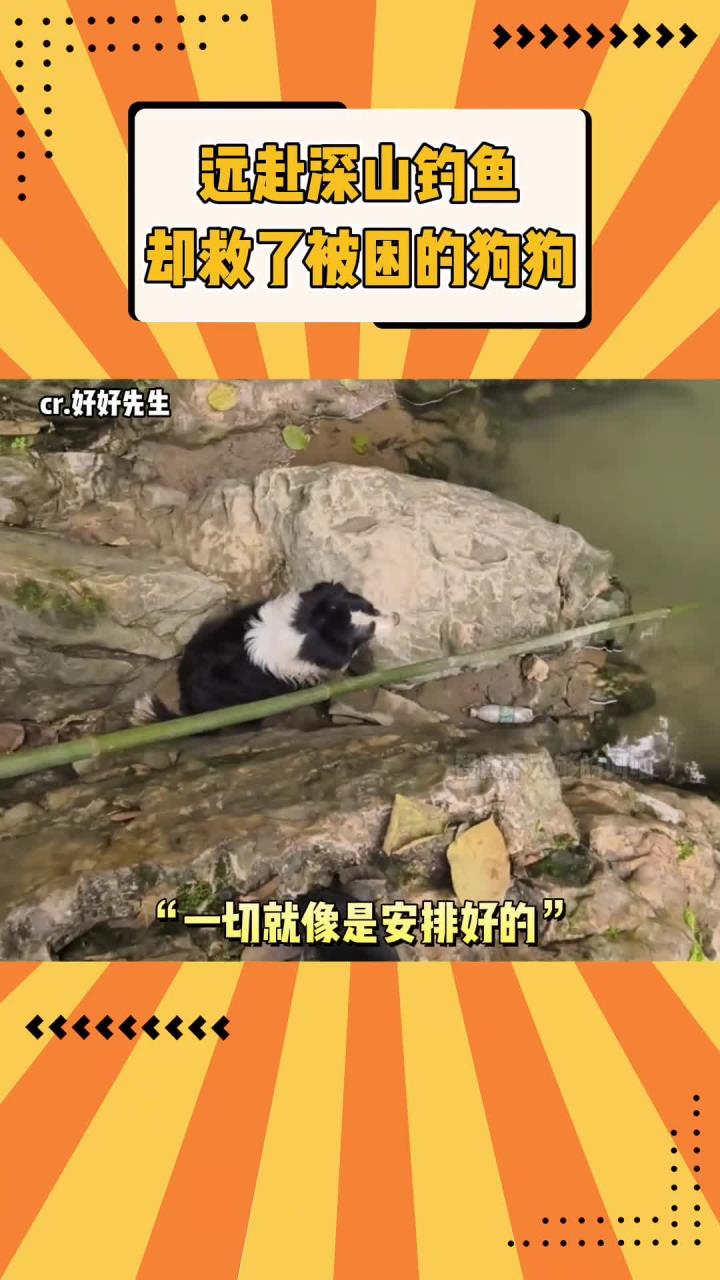 “我跋山涉水去钓鱼,仿佛就是为了救它”(视频素材:)