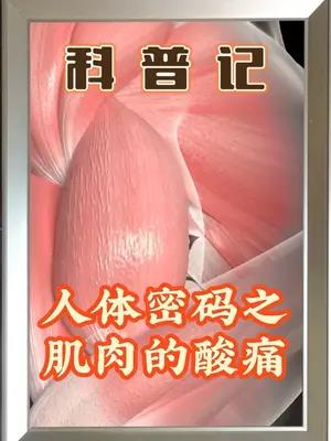 肌肉的酸痛是咋回事