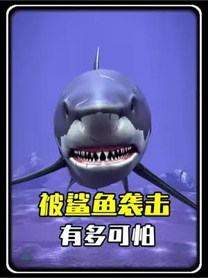 被鲨鱼袭击有多可怕