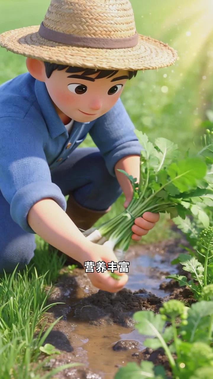 健康：春季换季多吃应季野菜，新鲜养生更健康