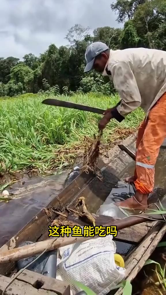 并不是所有的鱼都能吃,带你认识12种鱼