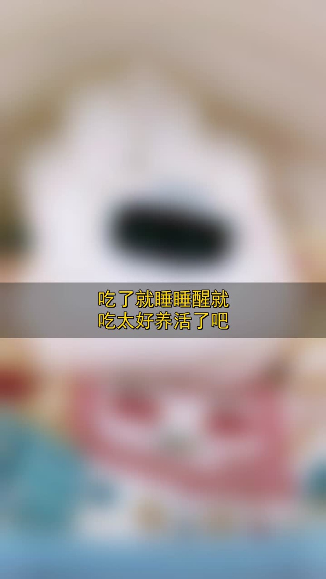 吃了就睡睡醒就吃，太好养活了吧