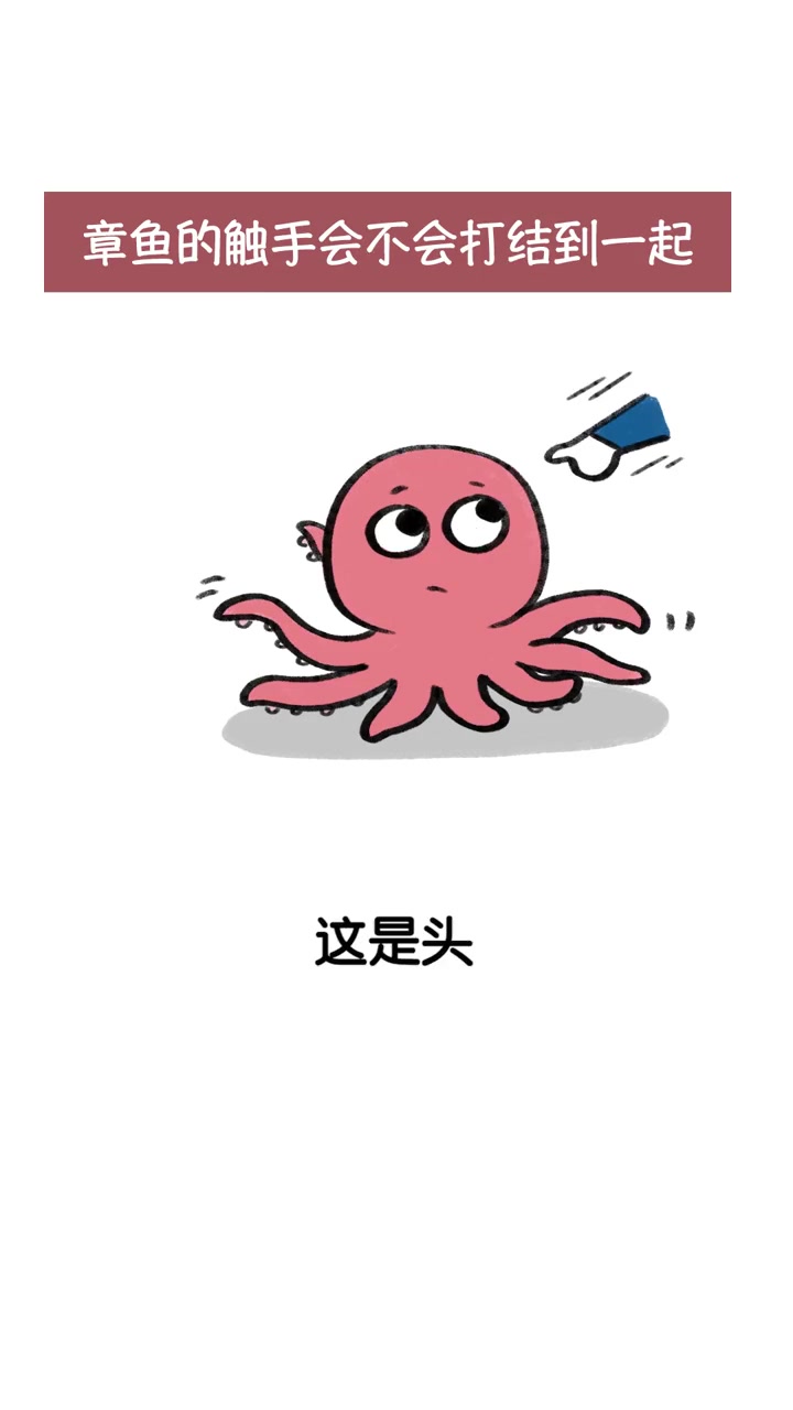 章鱼的触手会不会偶尔打结到一起?