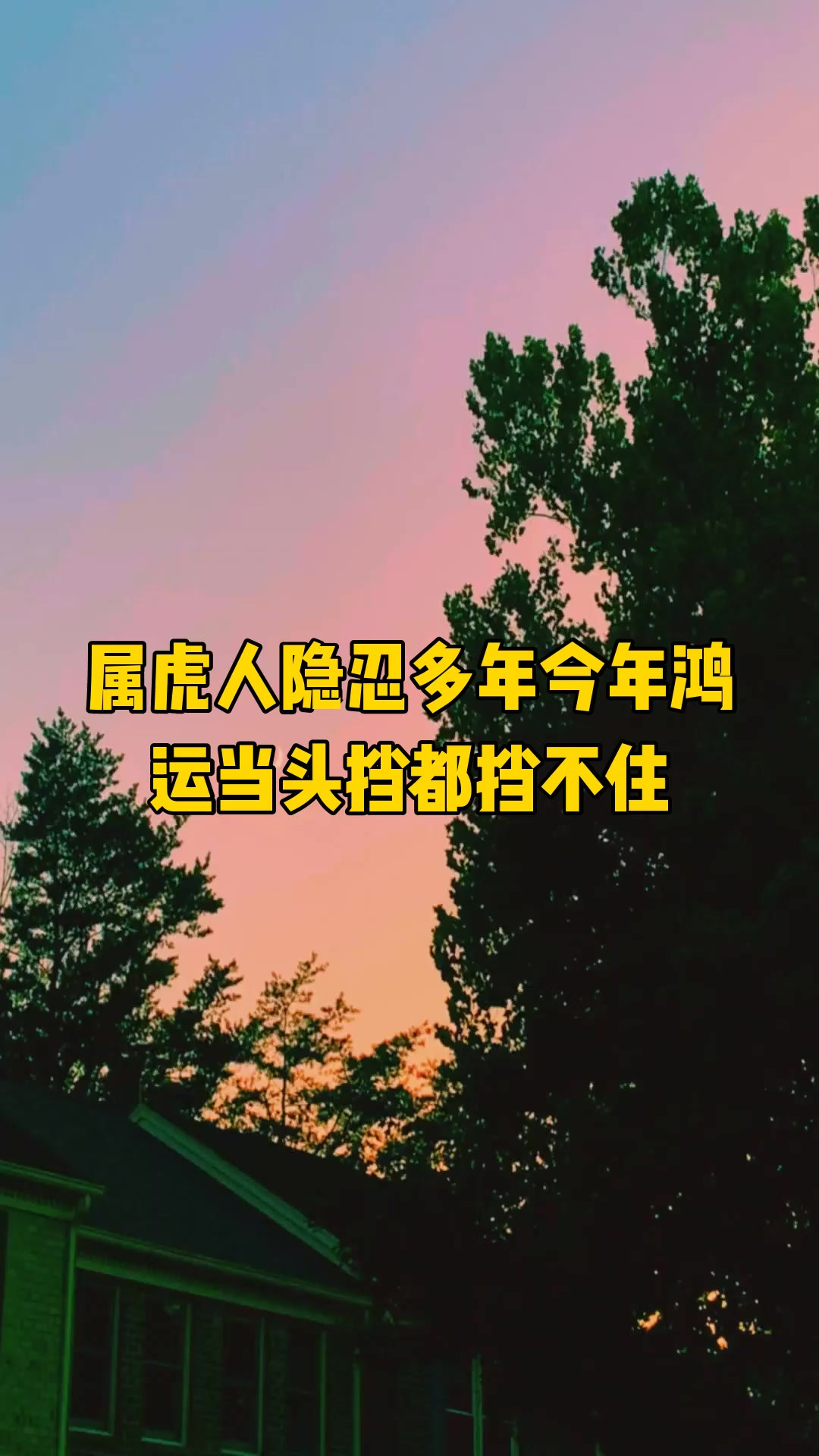 属虎人隐忍多年今年鸿运当头挡都挡不住