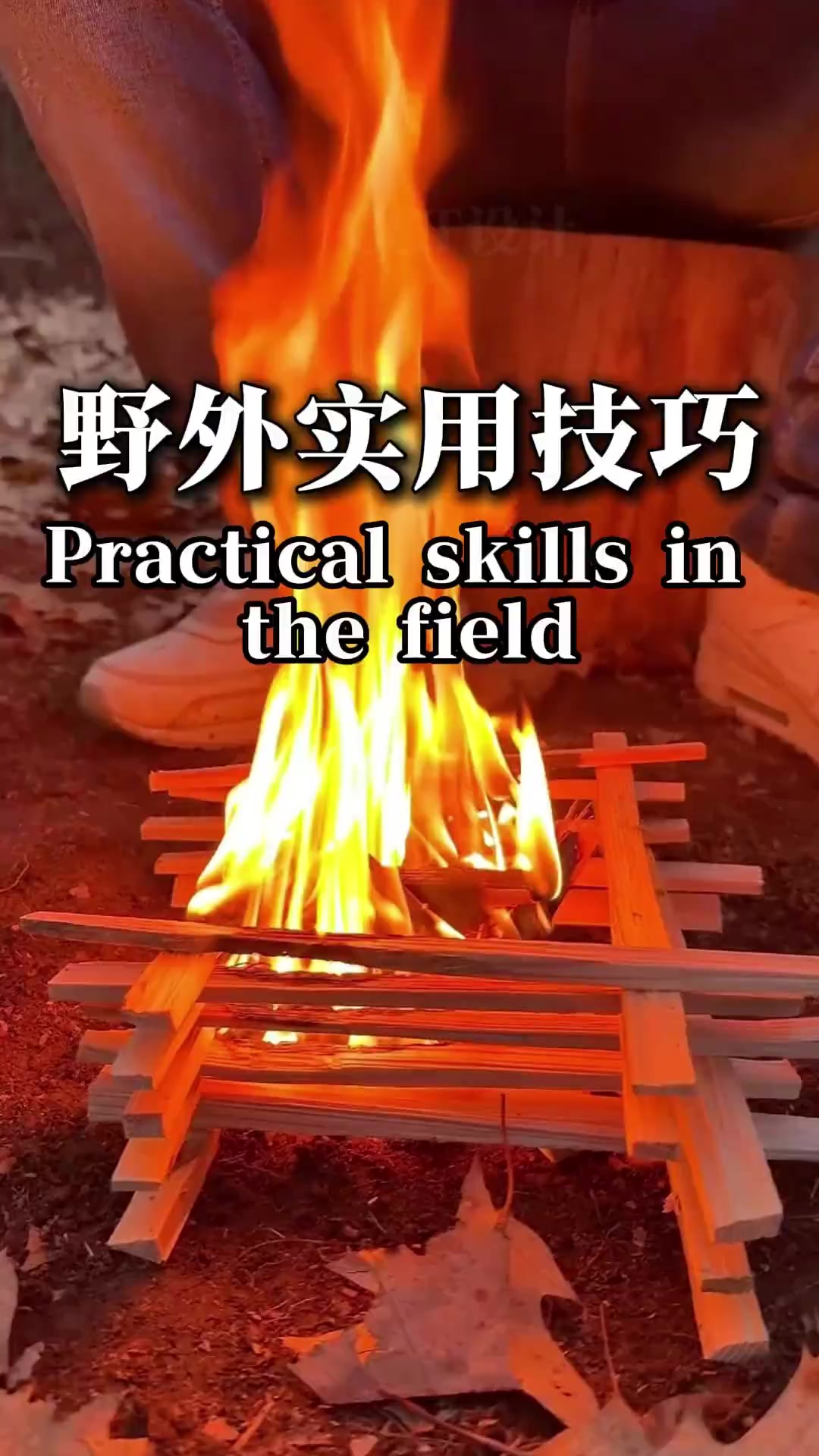 生活实用小技巧合集，野外生存技能大全，一个视频教会你增加自己