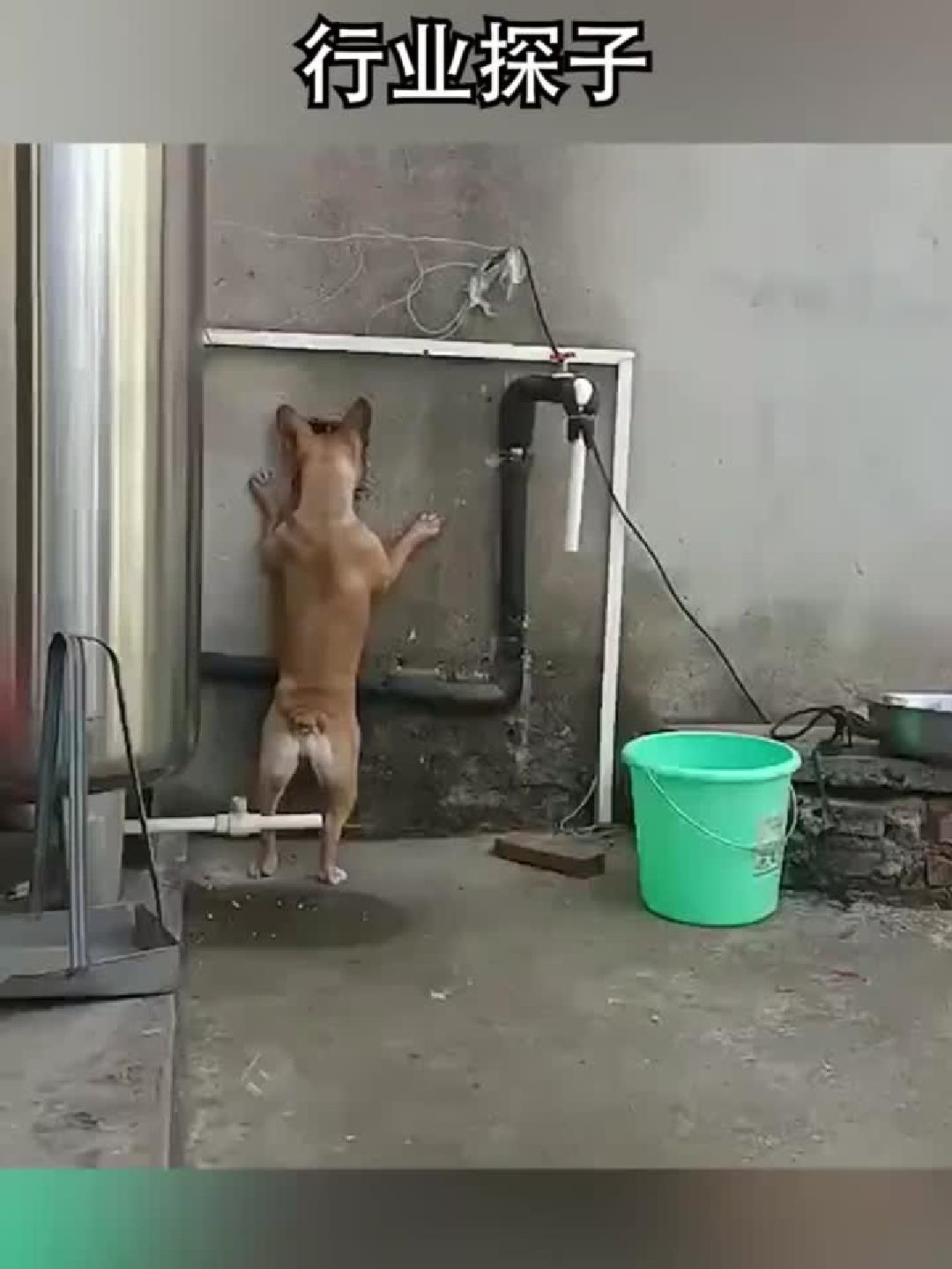 #健康#樊少皇惊喜亮相，演绎虚竹再掀回忆！