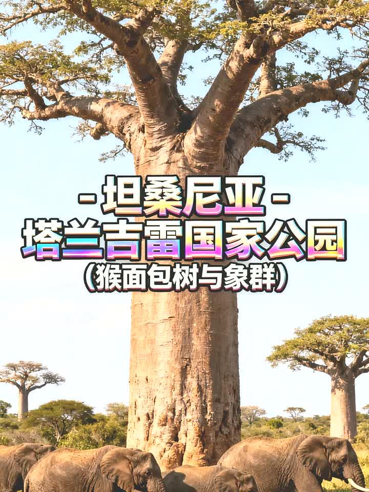 坦桑尼亚 - 塔兰吉雷国家公园(猴面包树与象群)