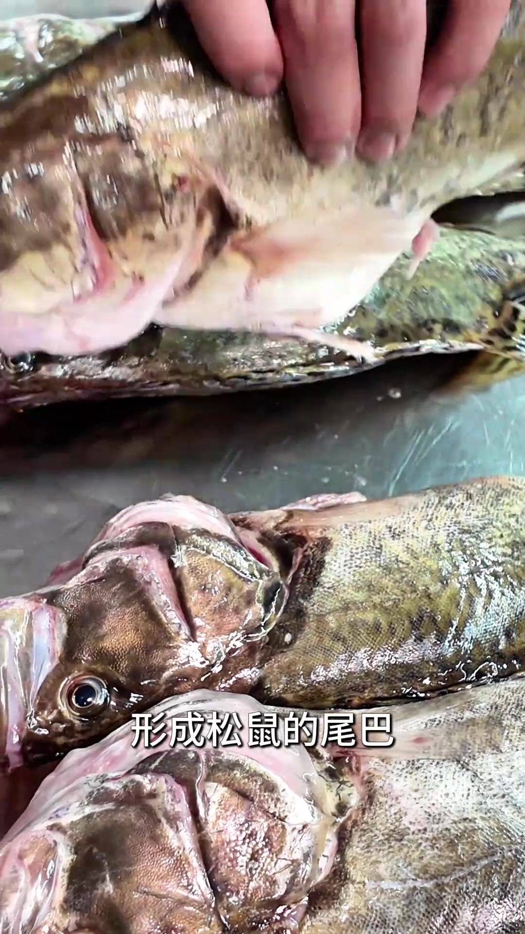 小厨娘大厨分享：松鼠桂鱼。厨娘大厨真现炒，拒绝预制菜，邀您品尝淮扬美味，感受淮扬菜的魅力！
