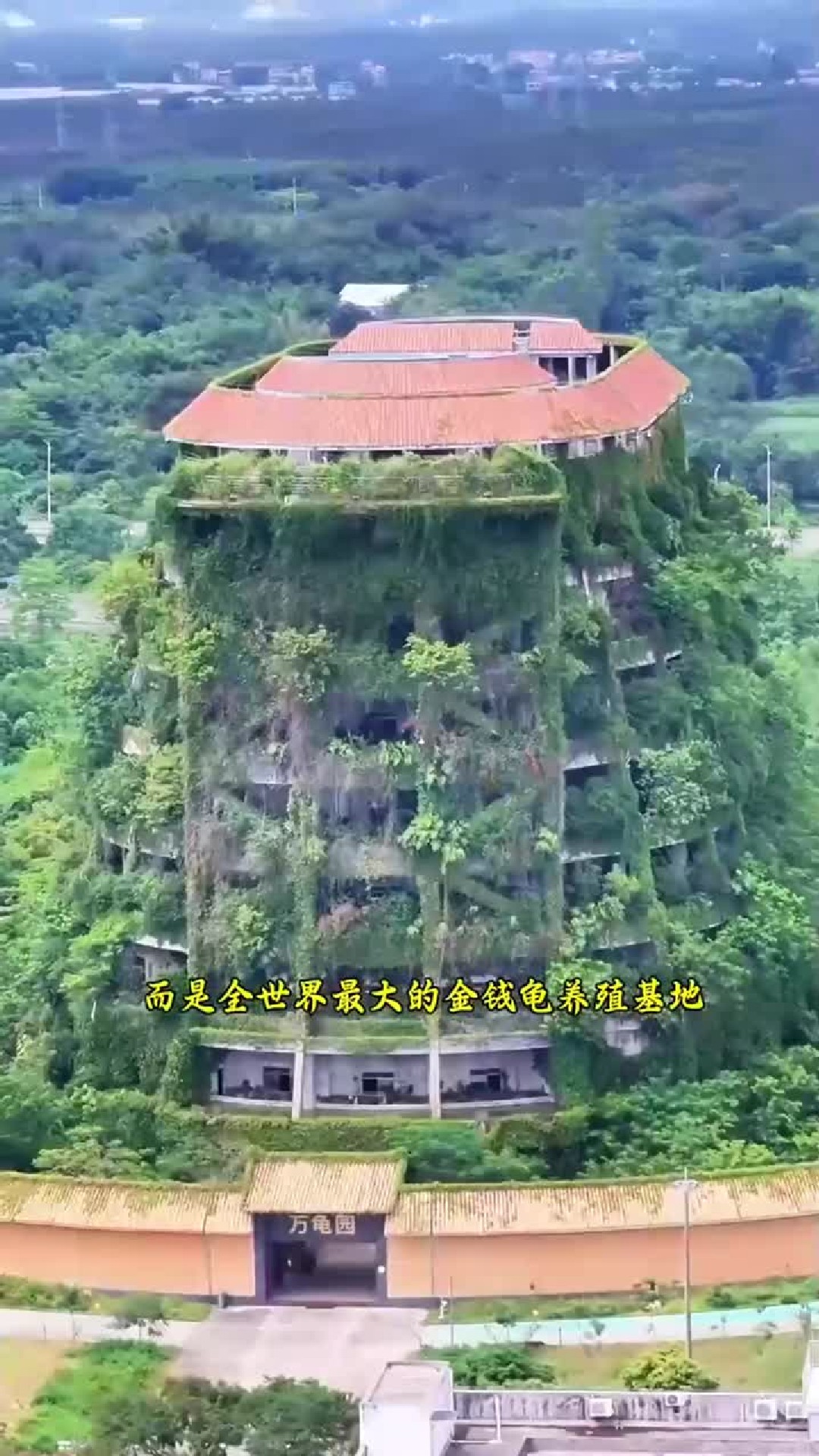 全世界最大的金钱龟养殖基地，据说里面光龟的价格就上亿元，最贵的一只就高达250万