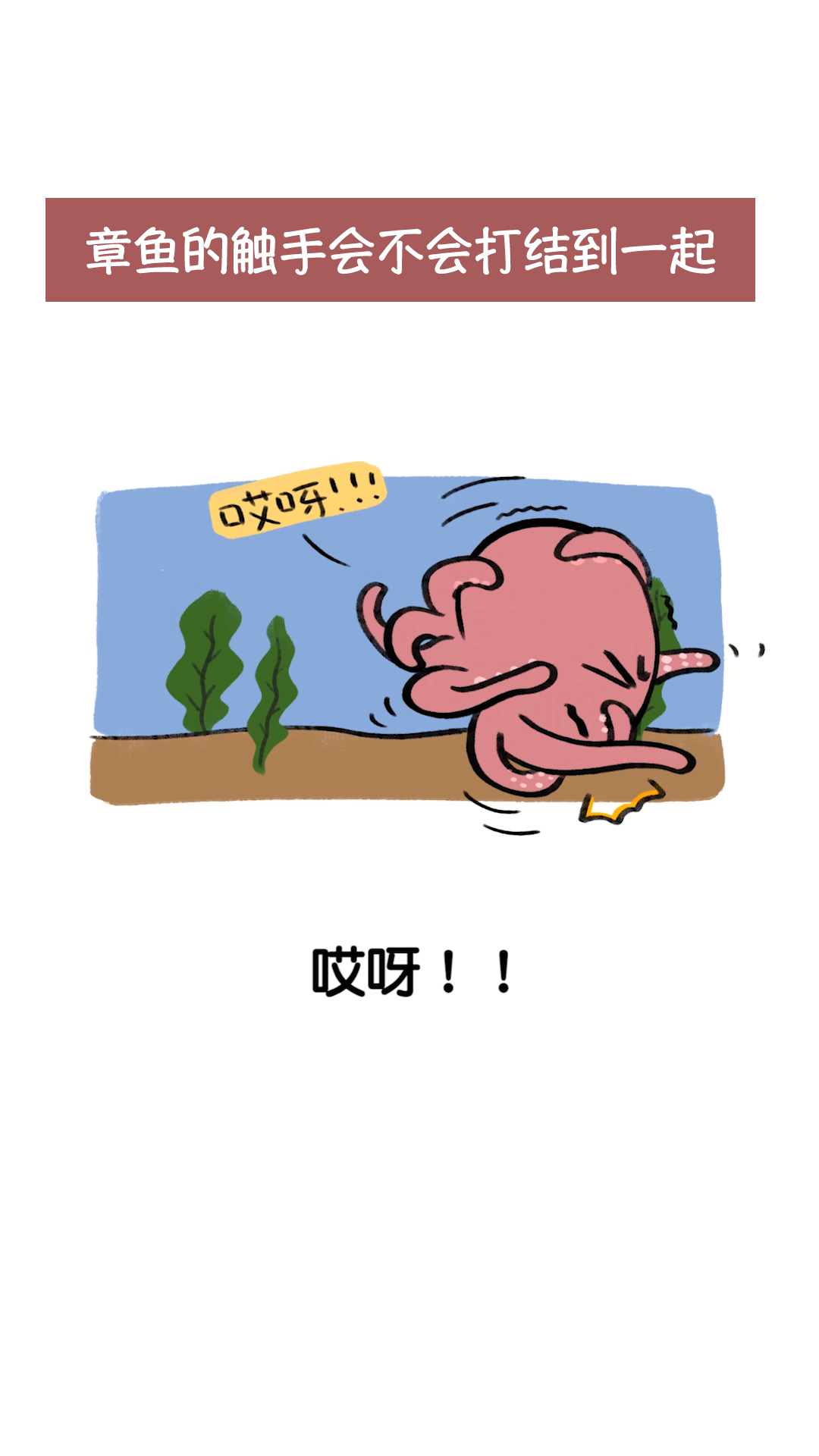 章鱼的触手会不会偶尔打结到一起?