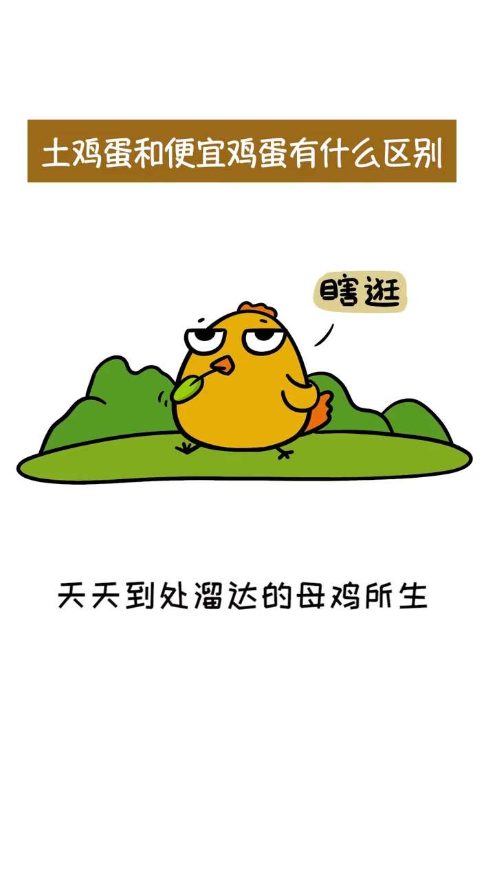 土鸡蛋和普通鸡蛋，到底有什么差别？