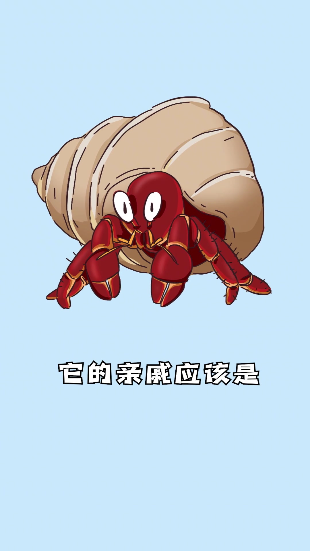 你说啥？那么贵的帝王蟹居然不是螃蟹？