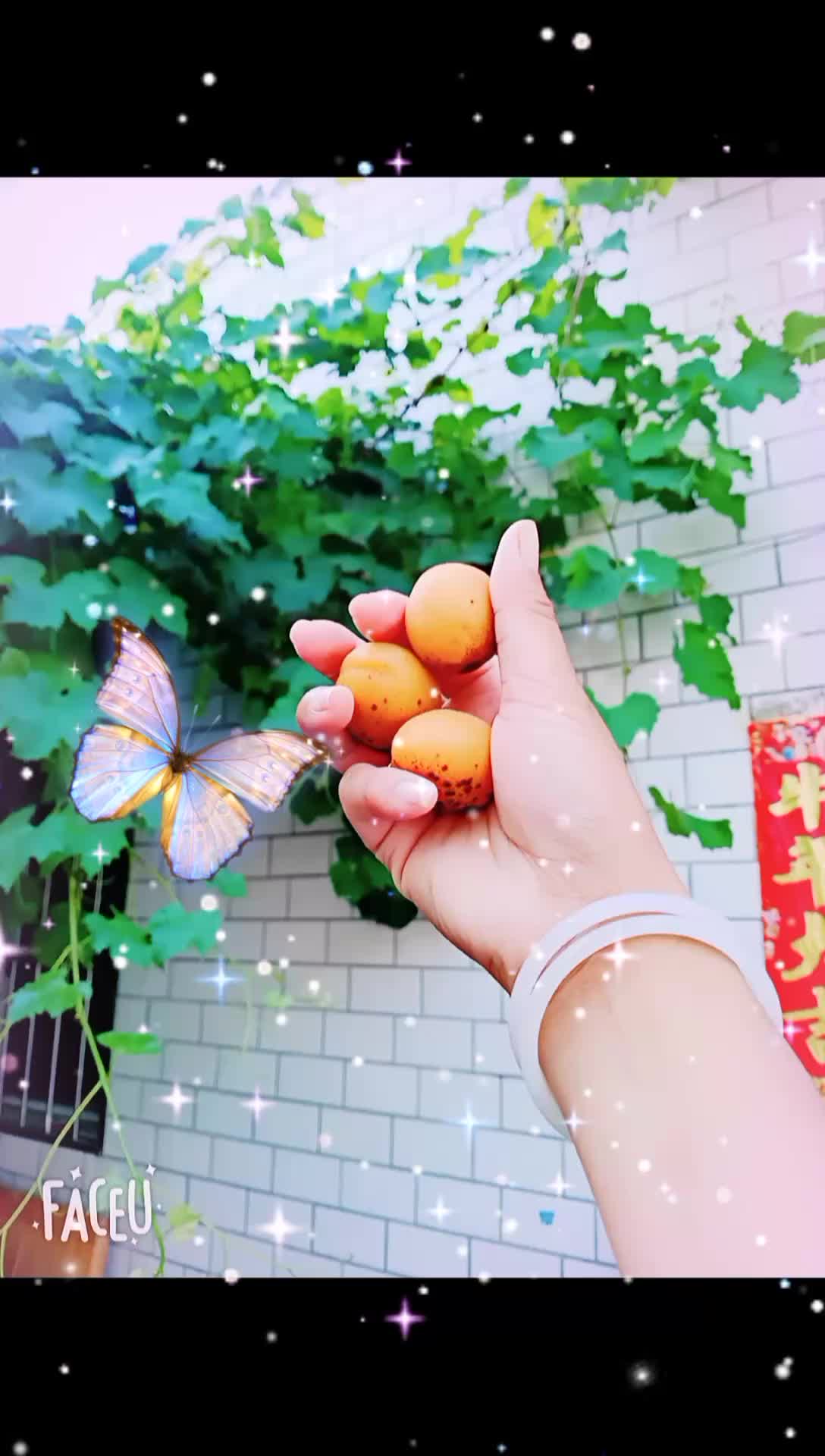生活那么苦但我很甜呀甜杏有句特别好听的广告语三生有杏遇见你杏好是你杏好有你……
