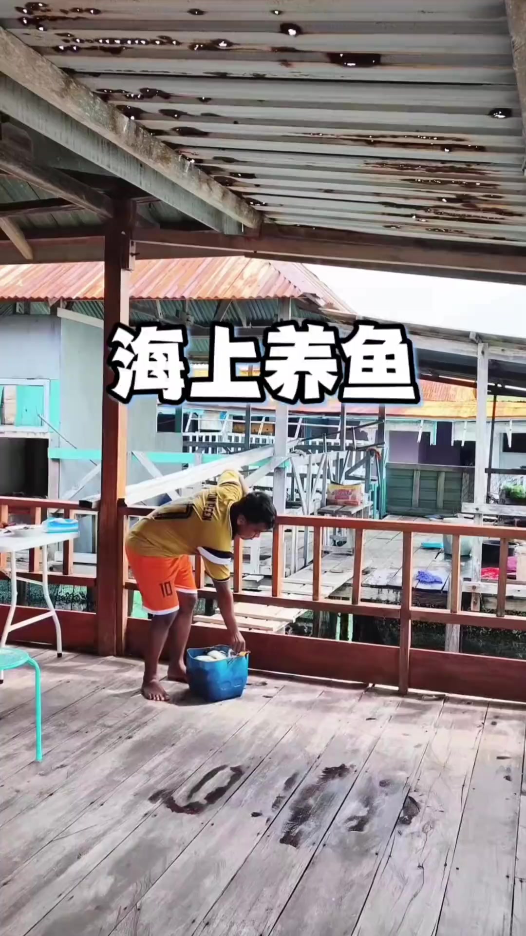 印尼海上网箱，石斑鱼原来这么喂！