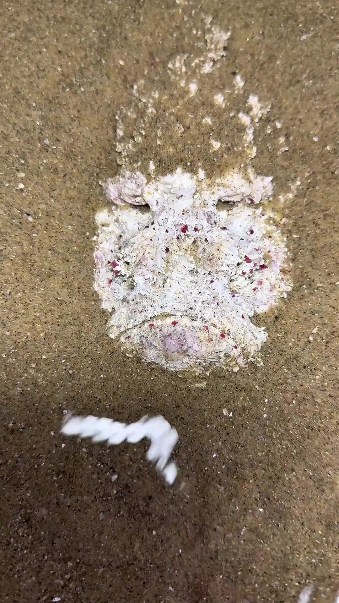 哪些海鱼有毒，哪些海鱼能吃，你了解多少，快转发给你家人