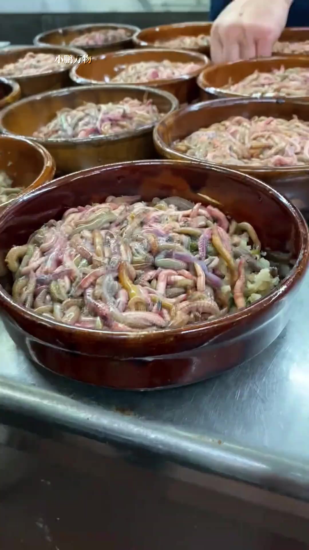 救命!这些虫子居然是人间美味?香到停不下来