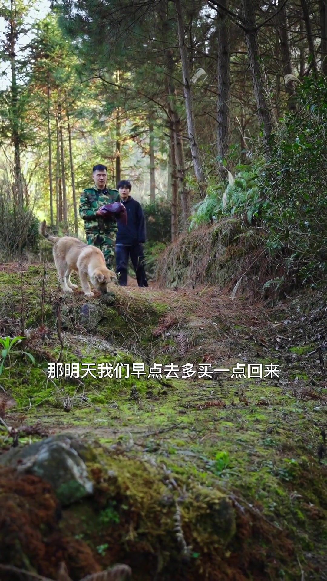 买个牛肝吃三天,凉拌红烧都很香。
