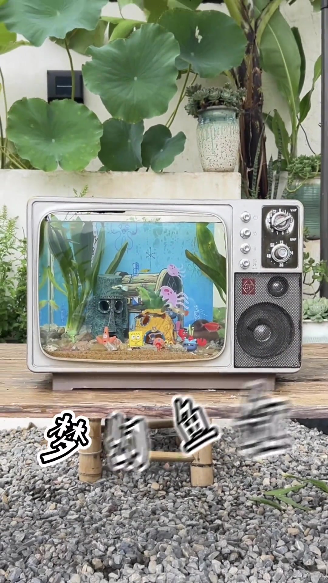 我把80年代的黑白电视机改造成了梦幻鱼缸