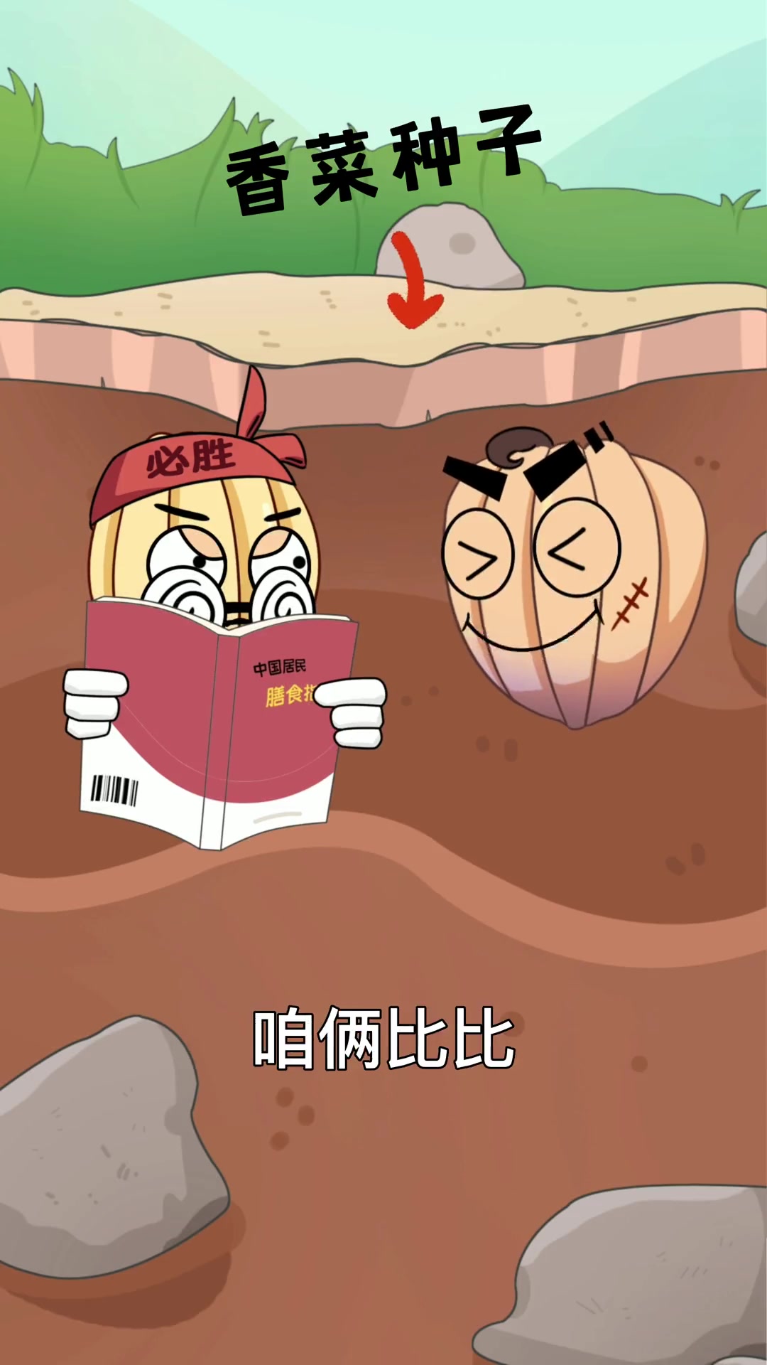 种植香菜如何快速出苗
