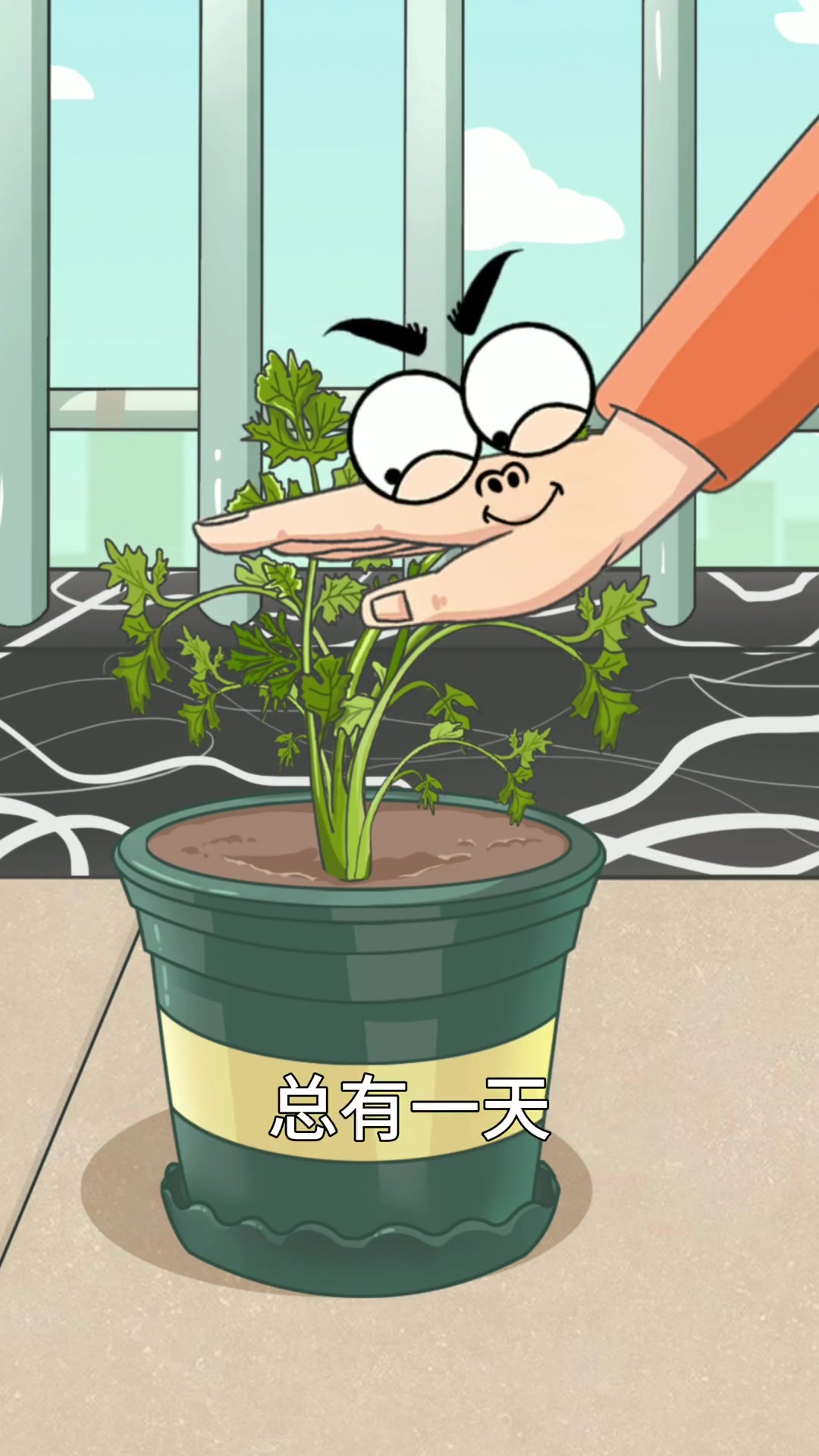 香菜掰叶也可以一茬一茬吃不完