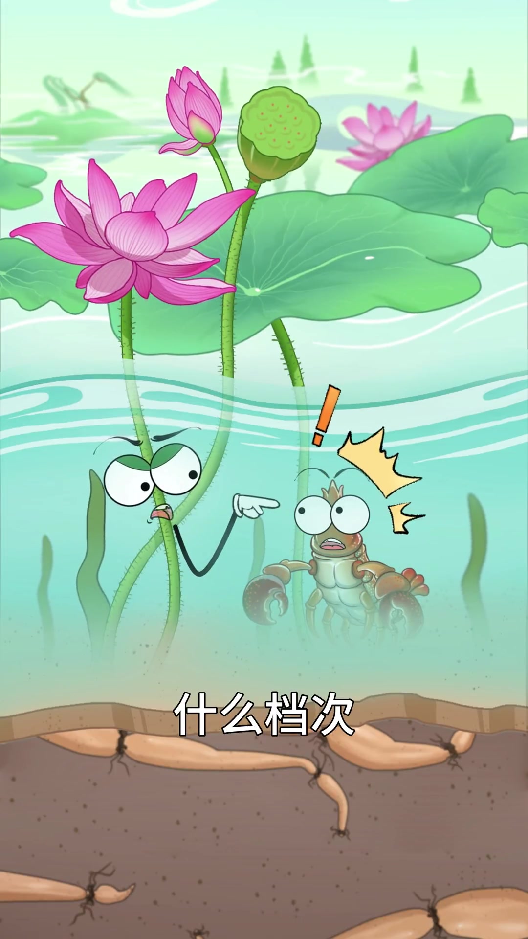 荷花小龙虾共养好处多