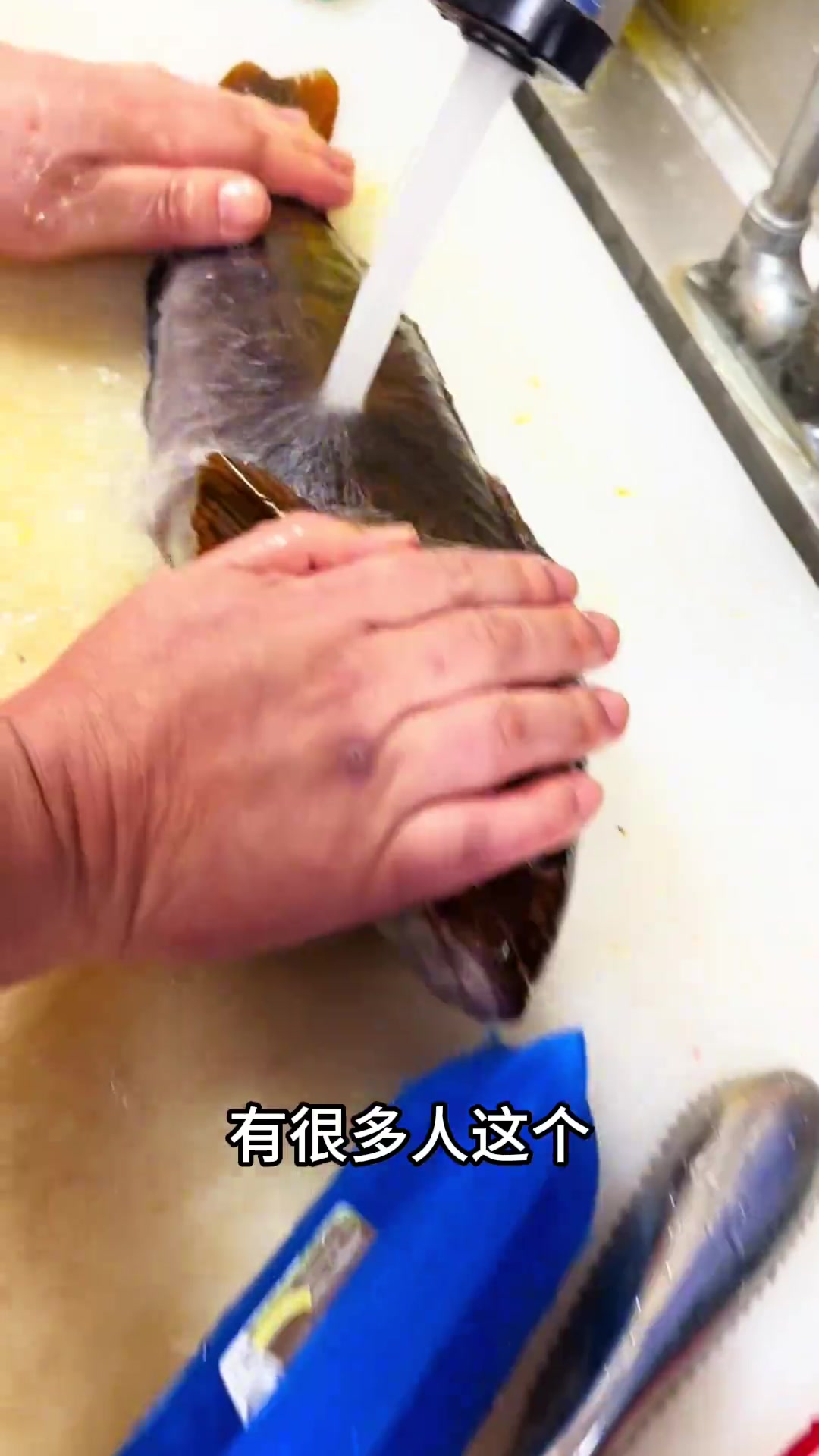 3斤重的野生大黄鱼！