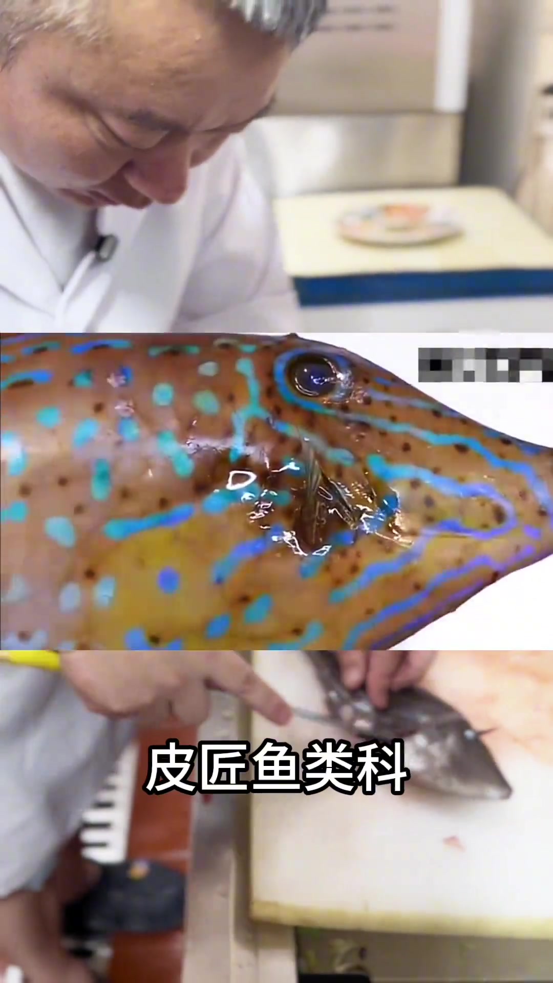 来自老厨师的分享，你爱吃什么鱼呢？你喜欢钓鱼吗？