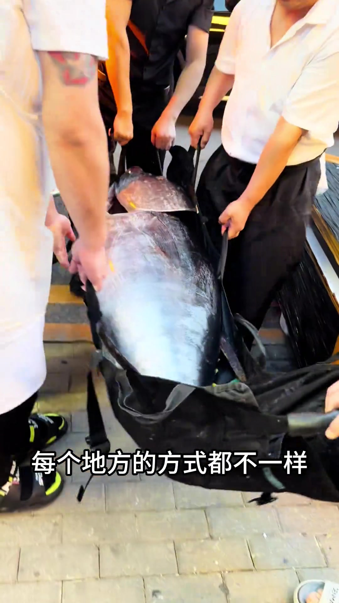 蓝鳍金枪鱼的解体和吃法!