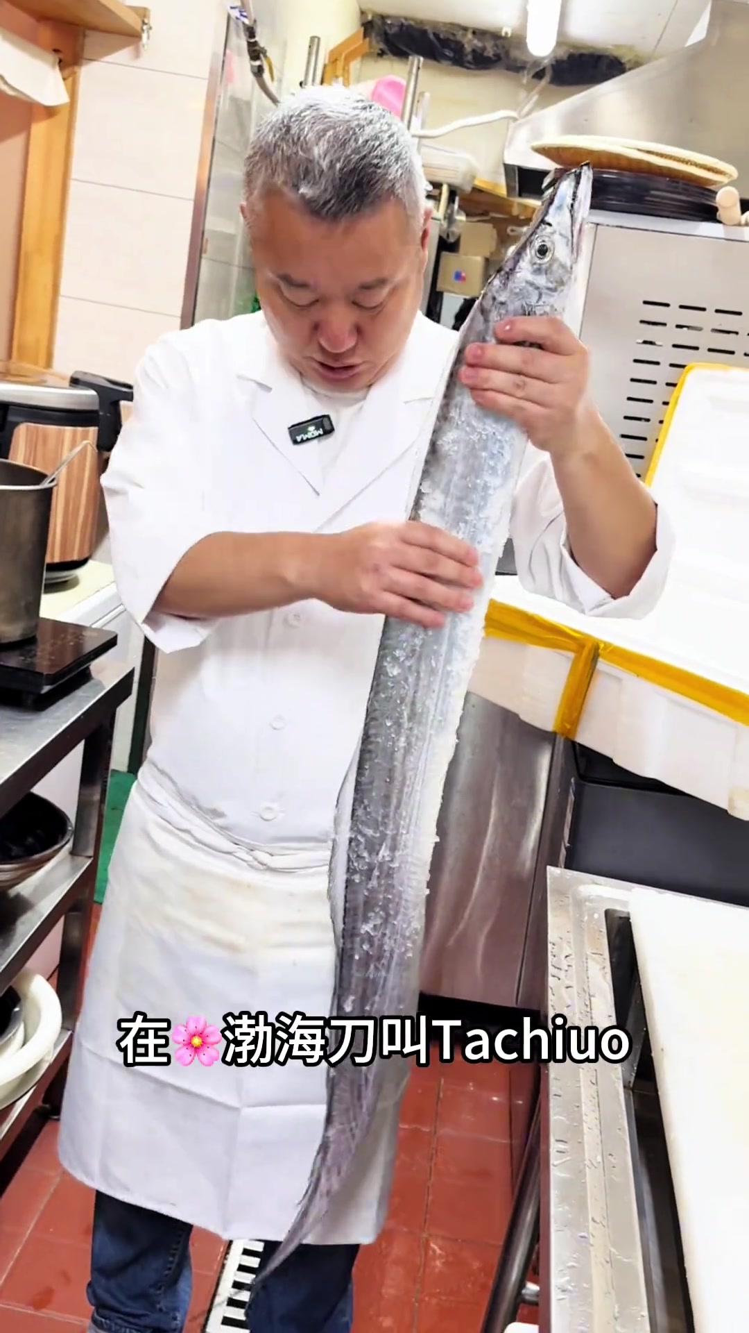 4斤重的渤海刀鱼!巴掌宽的大鱼,怎么做都好吃!