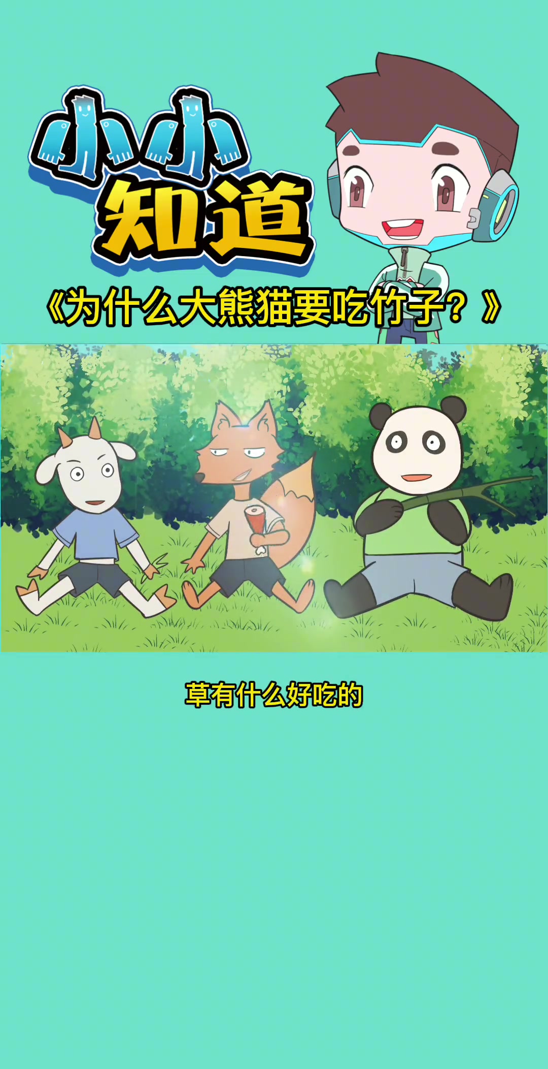 吃货本熊，为什么大熊猫要吃竹子？